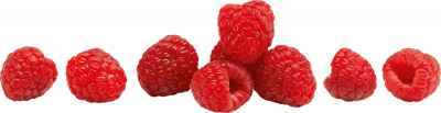 Beeren in Kyritz